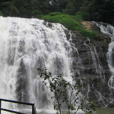 Nature View Homestay and Cottages