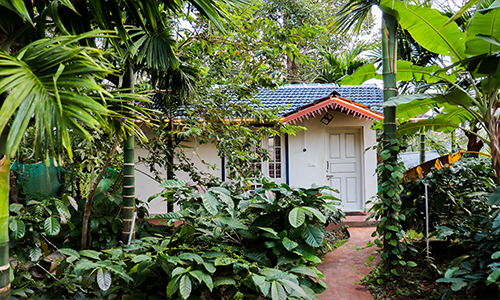 Nature View Homestay and Cottages