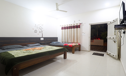 Nature View Homestay and Cottages