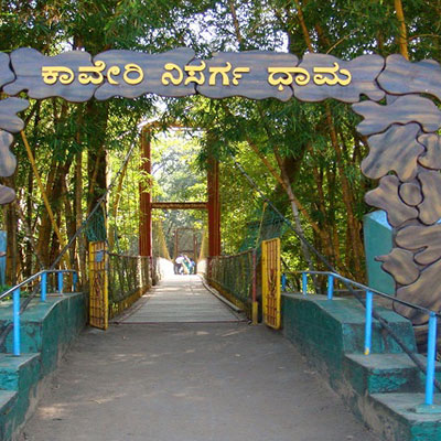 Nature View Homestay and Cottages